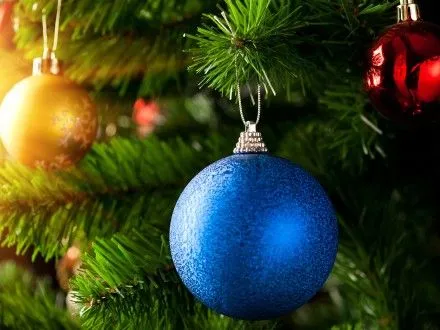 Новогоднюю елку в Одесской области приобретут за 120 тыс. грн