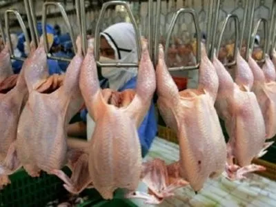 Украина ограничила импорт птицы из Болгарии и Венгрии