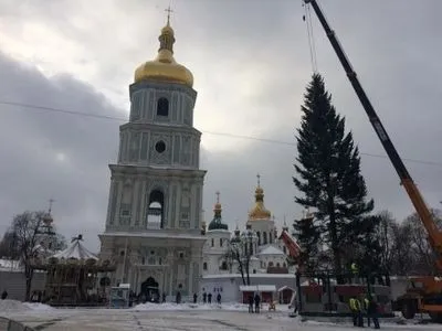 В Киеве на Софийской площади установили елку