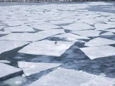 В Днепре не нашли человека, который провалился под лед