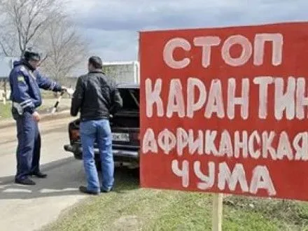 В Одесские области полиция выставила посты из-за африканской чумы