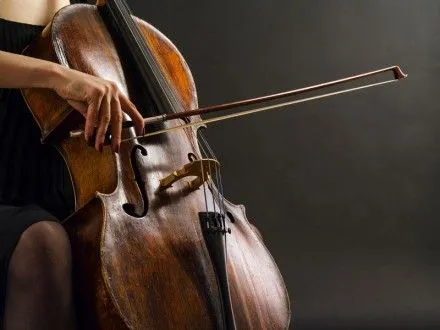 Стали известны подробности гибели виолончелистки в ДТП на Днепропетровщине