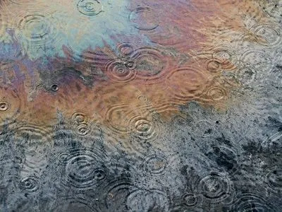 На Львівщині на поверхні річки виявили масляні плями