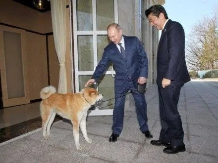 Москва відмовилася прийняти у подарунок від Токіо собаку для В.Путіна
