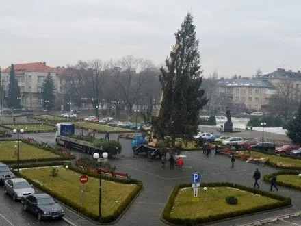 Головну новорічну ялинку Закарпаття встановили в Ужгороді