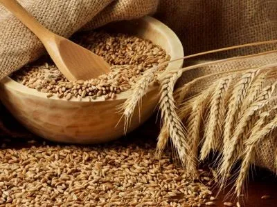 Україна експортувала понад 20 млн тонн зерна