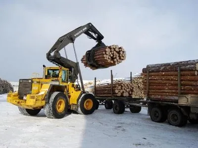 В Україні стартувала реформа лісової галузі