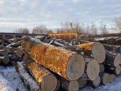 В Житомирской области правоохранители обнаружили незаконно срубленного леса на более 1,5 млн грн