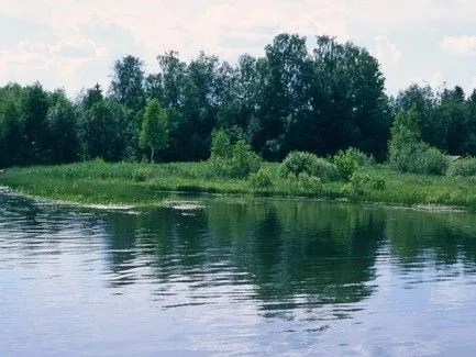 В Черниговской области 9 га земли водного фонда вернули государству