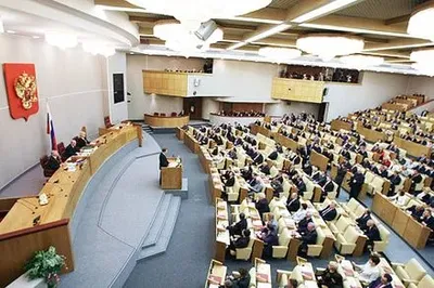 В Госдуме РФ приняли "садистский закон"