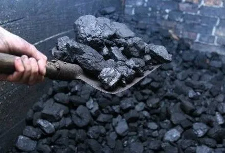 Держава погасить шахтарям заборгованість з зарплати до січня - І.Насалик
