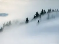 Завтра в більшості областей України очікується туман