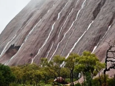 Из-за сильных дождей в Австралии закрыли национальный парк "Улуру"