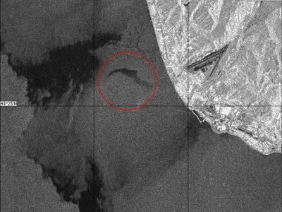 В РФ обнародовали изображение района катастрофы Ту-154 из космоса