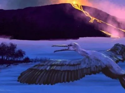 В Арктике геологи обнаружили останки неизвестного вида зубастой птицы