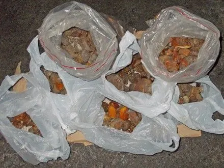 Правоохоронці вилучили 10 кг бурштину на Рівненщині