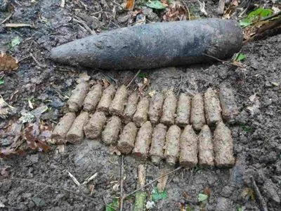 В прикарпатском поселке обнаружили целый арсенал оружия времен Второй мировой войны