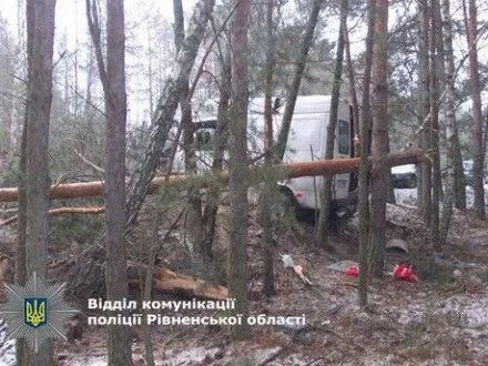 Водитель микроавтобуса в Ровенской области влетел в дерево