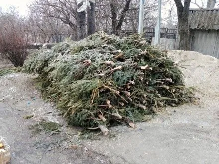 Администрация Николаевского зоопарка просит горожан приносить в зверинец ненужные сосны и елки
