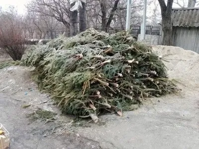 Администрация Николаевского зоопарка просит горожан приносить в зверинец ненужные сосны и елки