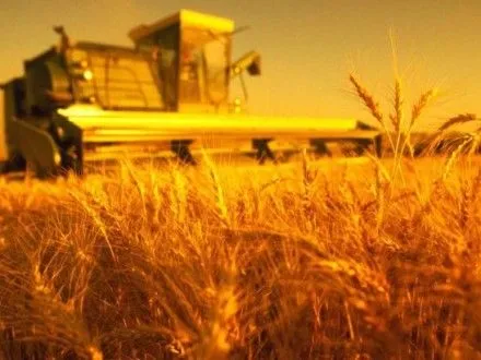 Експорт зернових України у 2016 році став рекордним — Мінагрополітики