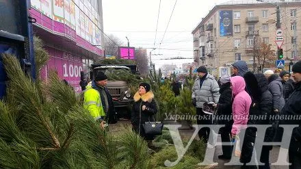 На лесных ярмарках в Кропивницком продали три тысячи новогодних елок