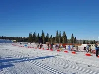 Львовщина будет принимать Кубок Украины по лыжным гонкам