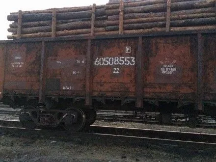 В Одесской области правоохранители предупредили незаконный вывоз древесины железной дорогой