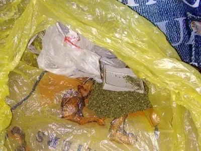 Понад 600 грамів наркотиків вилучили у чоловіка на Полтавщині