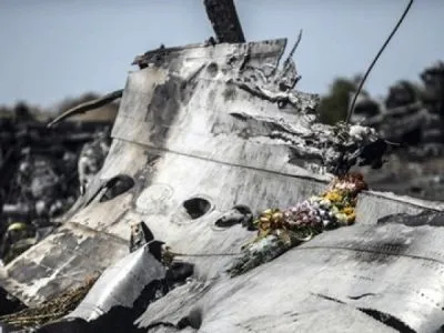 Журналист пытался провезти в Нидерланды человеческие останки и обломки самолета MH17