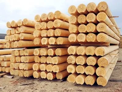 Гослесагенство ввело ограничения на вывоз украинской древесины