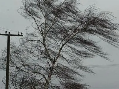 Сьогодні в деяких областях України очікуються пориви вітру