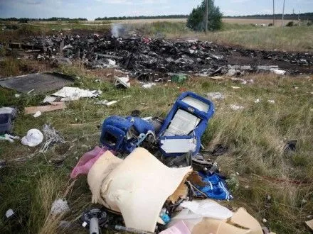 Останки, найденные журналистом на Донбассе, принадлежат жертвам аварии МН17