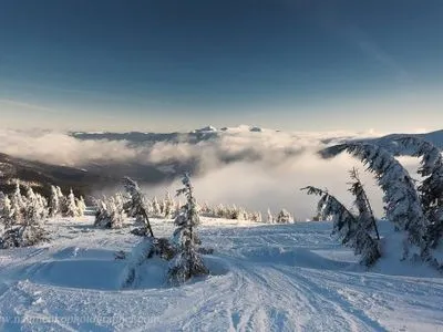 Заблукалого у горах Закарпаття київського сноубордиста відшукали