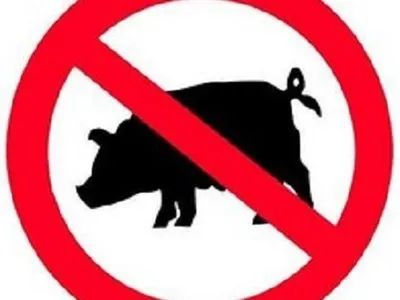 У Новоукраїнському районі зафіксовано спалах африканської чуми свиней