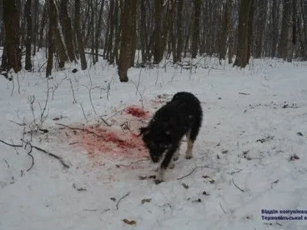 З'явились нові подробиці смерті жінки, тіло якої понівечили собаки на Тернопільщині