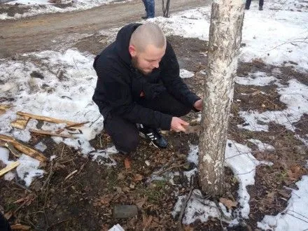Активисты вбивали гвозди в одесские дерева