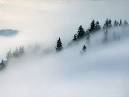 Завтра в більшості областей України очікується туман