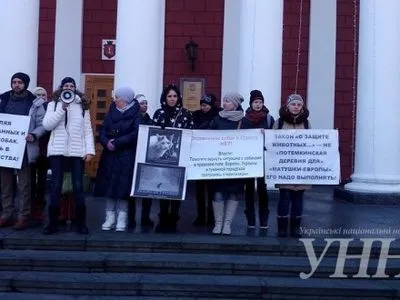 В Одессе прошла акция в поддержку бездомных животных