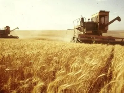 Врожай зернових у 2016 році сягнув рекордних 66 млн тонн — Мінагрополітики