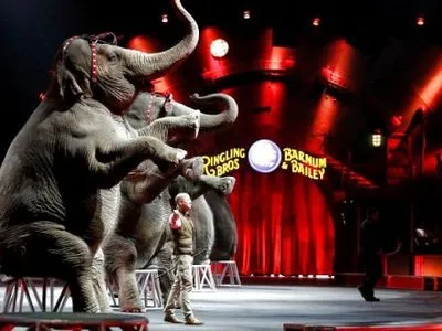 Из-за давления зоозащитников закрывается старейший передвижной цирк США