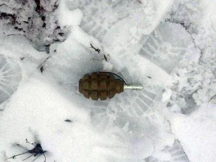Дети нашли гранату в Донецкой области