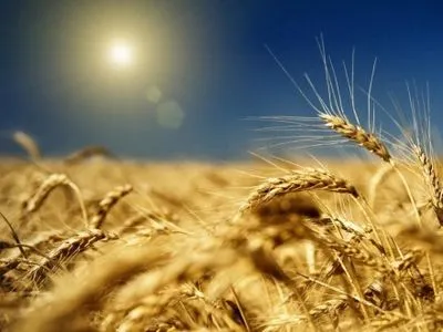 Виробництво сільгосппродукції України у 2016 році зросло на 6,1% — Держстатистики