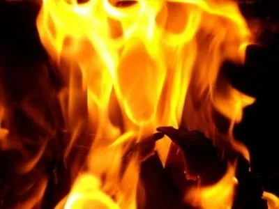 В результате пожара в Донецкой области погибла женщина и пострадал ребенок