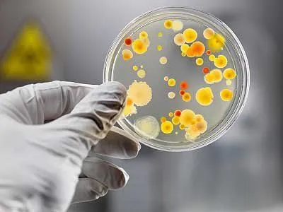 За неделю в Винницкой области лабораторно подтвердили четыре случая гонконгского гриппа