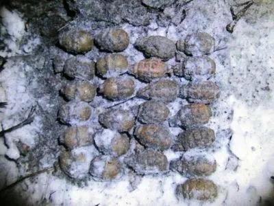 На Житомирщині виявили сховок із 25 гранатами