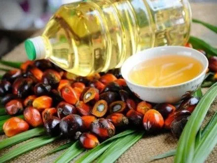 В Украине нужно законодательно ограничить использование пальмового масла в продуктах питания - С.Тригубенко
