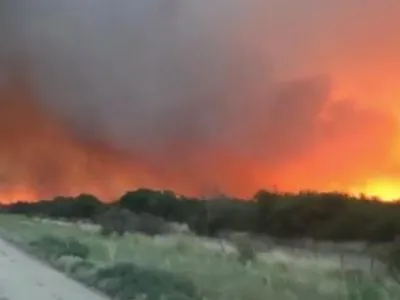 В Аргентині спалахнули потужні лісові пожежі