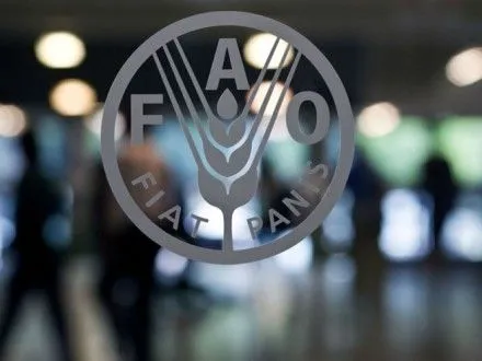 ФАО віднесло Україну до держав, які можуть стати світовими продовольчими донорами