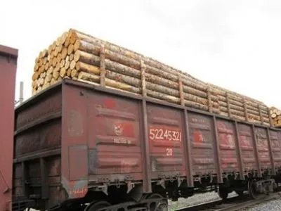 Підприємцю, який намагався вивезти 11 вагонів лісу, оголосили про підозру